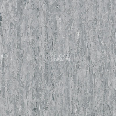 Линолеум Tarkett iq Optima Medium grey 0853 фото 1 | FLOORDEALER